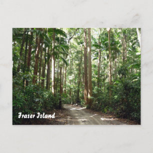 Carte Postale forêt tropicale du fraser