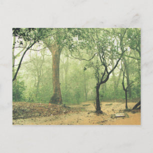 Carte Postale Forêt tropicale humide Ghats occidentaux Inde