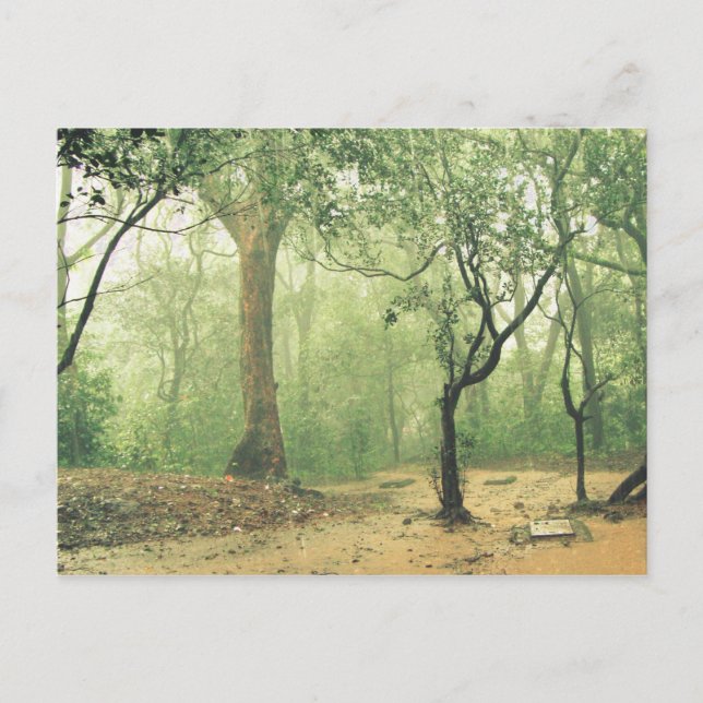 Carte Postale Forêt tropicale humide Ghats occidentaux Inde (Devant)