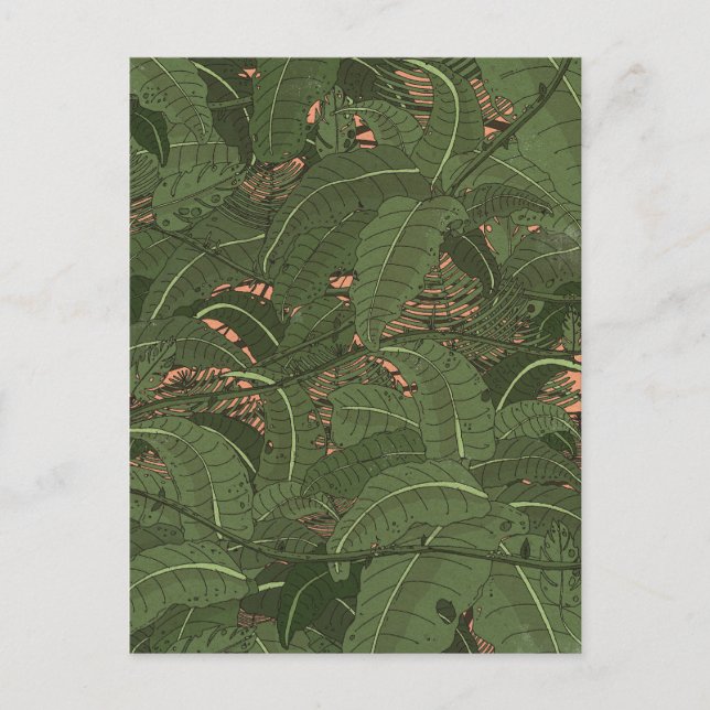Carte Postale Forêt tropicale jungle (Devant)