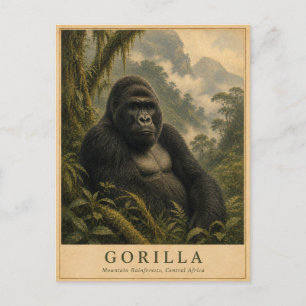 Carte Postale Forêt tropicale montagneuse de Gorille VINTAGE