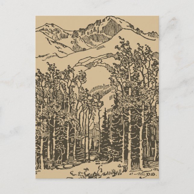 Carte Postale Forêt vintage (Devant)