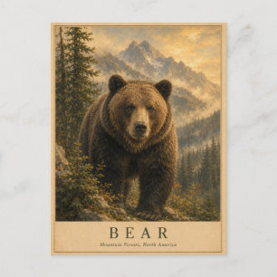 Carte Postale Forêts de Bear Mountain VINTAGE