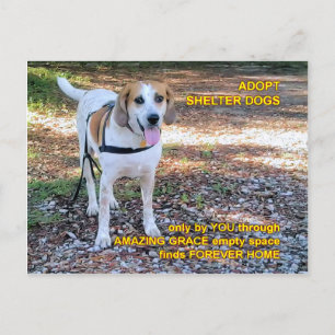 Carte Postale Forever Home Grace Extraordinaire