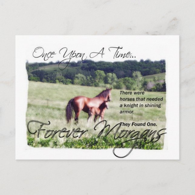 Carte Postale Forever Morgans Fairytale Morgan Mare et Foal (Devant)