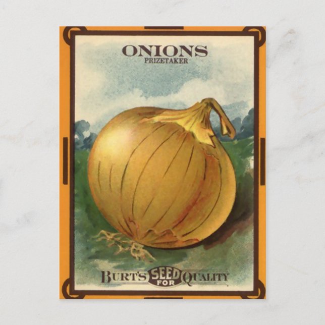 Carte Postale Forfait vintage Burt's Onion Seed (Devant)