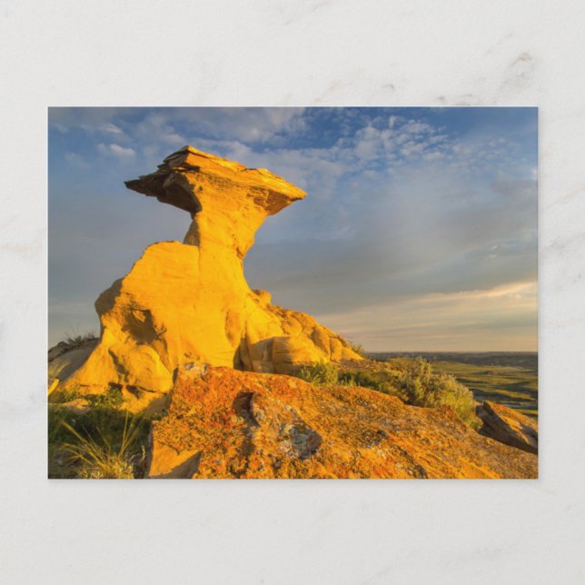Carte Postale Formation de Badlands sculptés dans l'herbe courte (Devant)