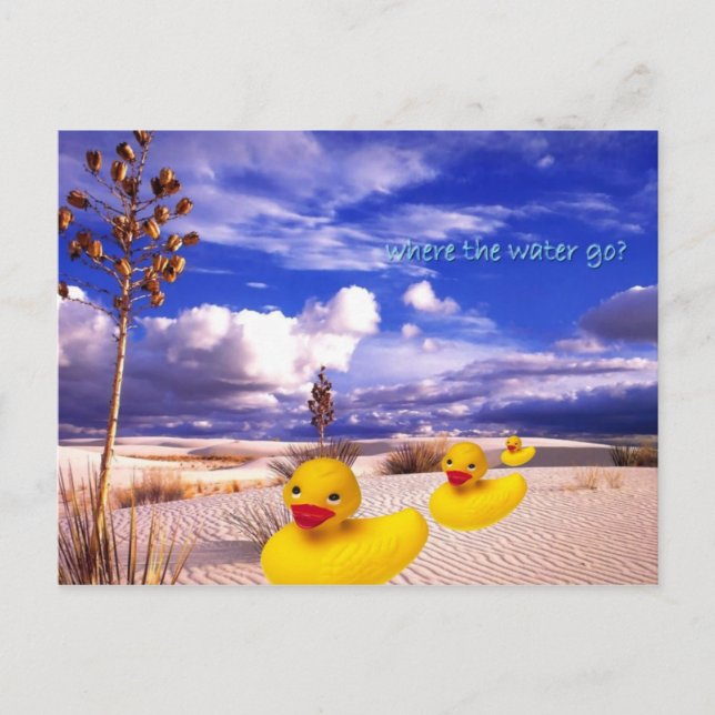 Carte Postale Formation de Rubberduck (Devant)