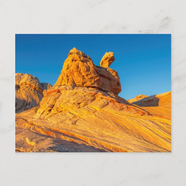 Carte Postale Formations de grès à White Pocket 3 (Devant)