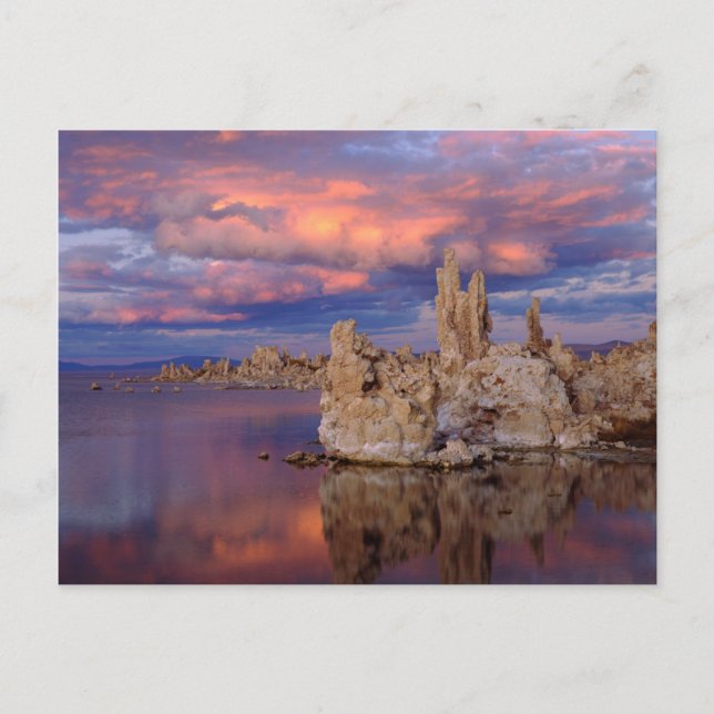 Carte Postale Formations de Tufa sur le lac Mono (Devant)