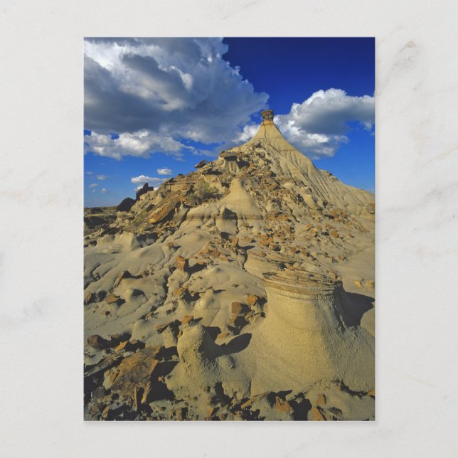 Carte Postale Formations des Badlands au Dinosaur Provincial Par (Devant)