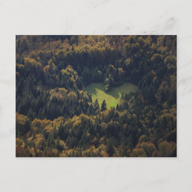 Carte Postale Forme cardiaque dans une forêt en Slovénie (Devant)