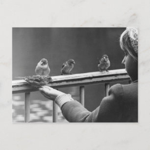 Carte Postale Formez une file d'attente ordonnée