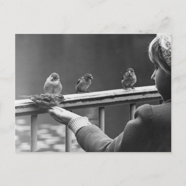 Carte Postale Formez une file d'attente ordonnée (Devant)