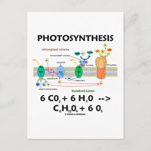 Carte Postale Formule de photosynthèse (chimique)
