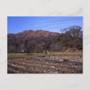 Carte Postale Fort romain Ambleside Cumbria