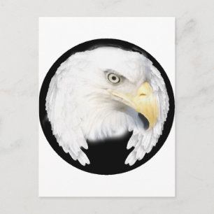 Carte Postale Forte foi_