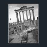 Carte postale Forum<br><div class="desc">Carte postale</div>