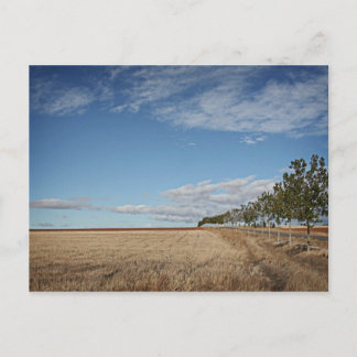 Carte Postale fotografias del Camino de santiago