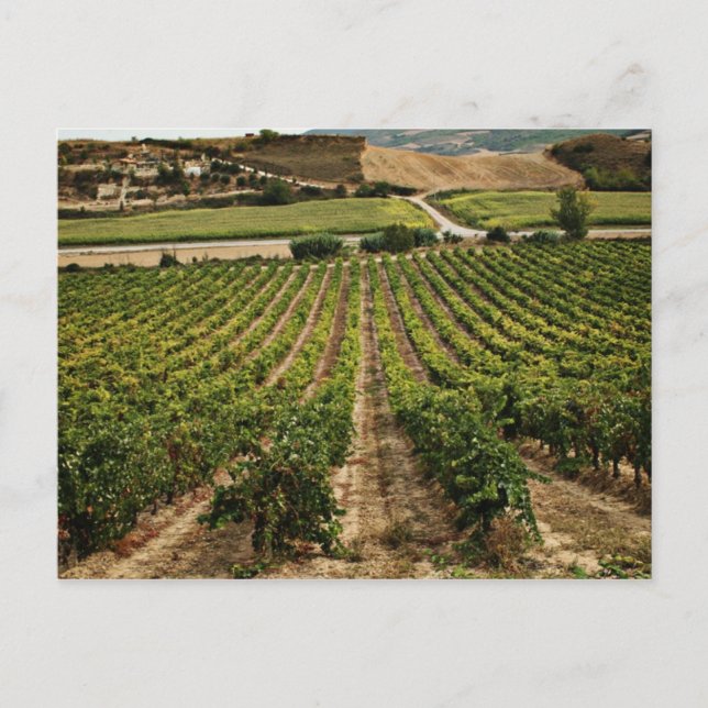 Carte Postale fotografias del Camino de santiago (Devant)