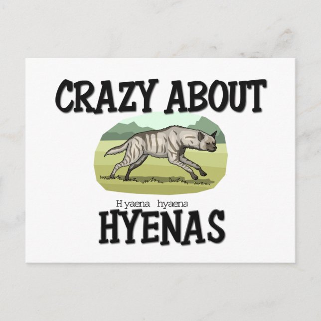 Carte Postale Fou de Hyenas (Devant)