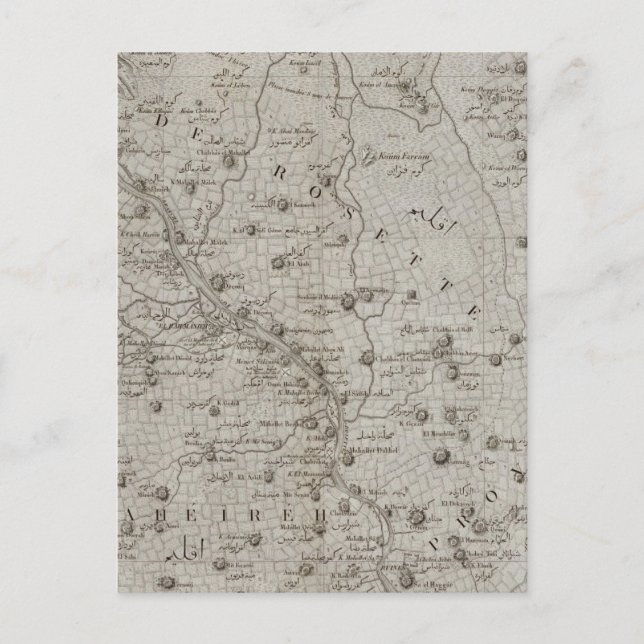 Carte Postale Foueh, Damanhour, Egypte (Devant)