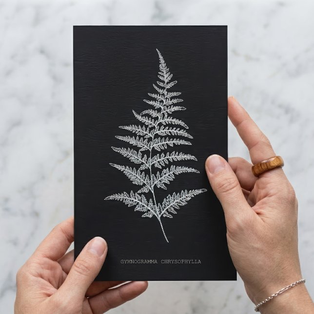 Carte Postale Fougère dorée, Gymnogramma Chrysophylla (Golden Fern Frond, Gymnogramma Chrysophylla. Postcard)
