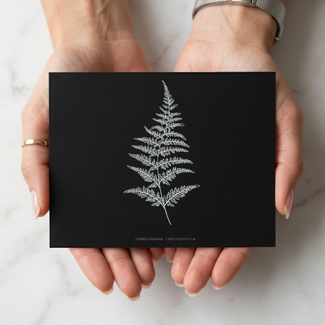 Carte Postale Fougère dorée, Gymnogramma Chrysophylla (Golden Fern Frond, Gymnogramma Chrysophylla. Postcard)