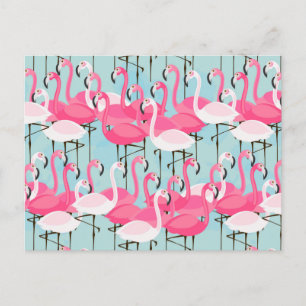 Carte Postale Foule De Flamants roses Rose Et Blanc