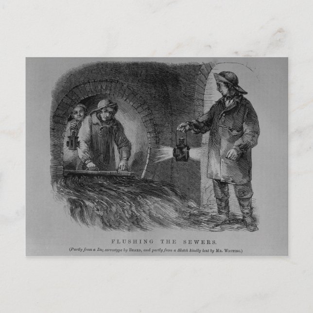 Carte Postale Fouler les égouts (Devant)