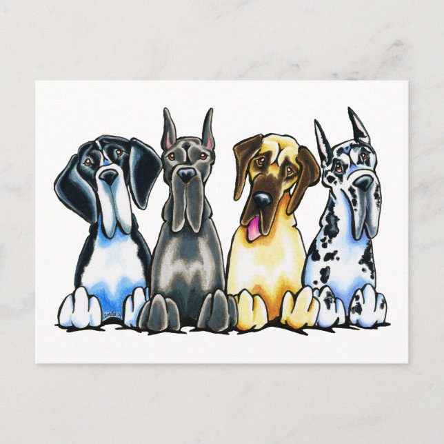 Carte Postale Four Great Danes (Devant)