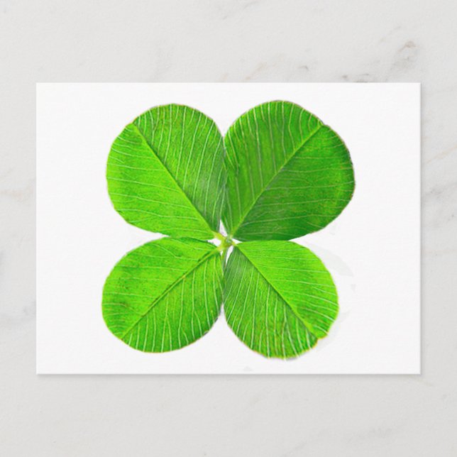 Carte Postale Four Leaf Clover Le MUSÉE Zazzle Cadeaux (Devant)