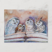 Four reading owls