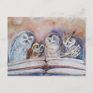 Carte Postale Four reading owls