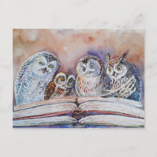 Carte Postale Four reading owls