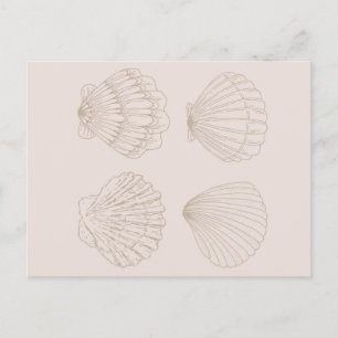 Carte Postale Four Shells
