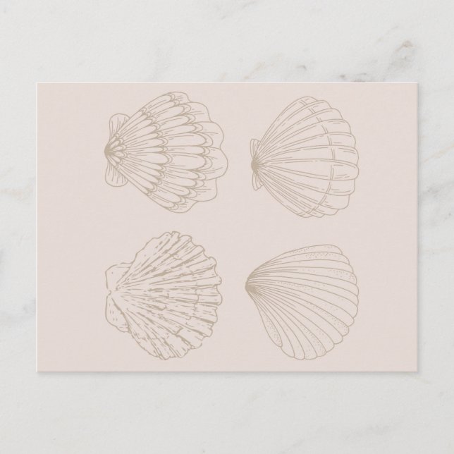 Carte Postale Four Shells (Devant)