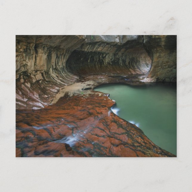 Carte Postale Fourche gauche | Parc national de Zion, Utah (Devant)