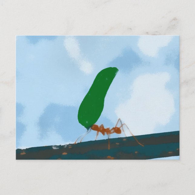 Carte Postale Fourmi portant une feuille (Devant)