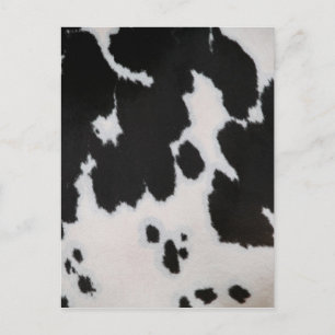 Carte Postale Fourrure de vache