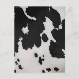 Carte Postale Fourrure de vache