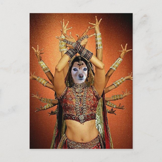 Carte Postale Fox Est Une Danseuse Hindi (Devant)