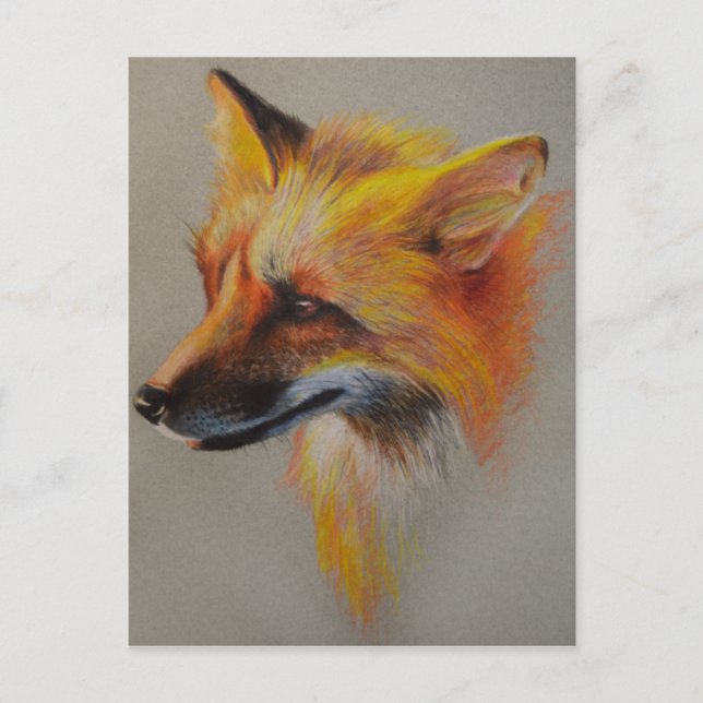 Carte Postale Fox Portrait (Devant)
