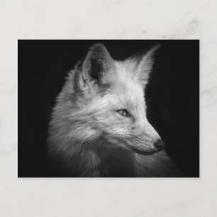 Carte postale Fox Portrait