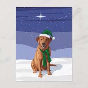 Carte Postale Fox Red Labrador Retriever Chien de Noël