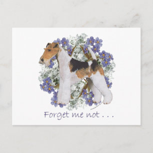 Carte Postale Fox-Terrier à poil dur Myosotis