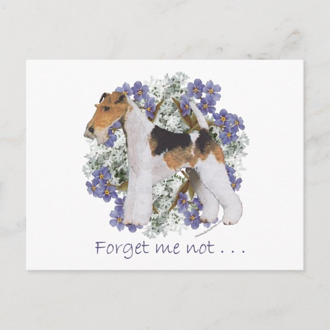 Carte Postale Fox-Terrier à poil dur Myosotis (Devant)