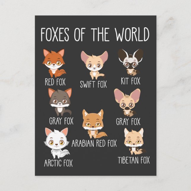 Carte Postale Foxes Of the World Don pour Fox Lover (Devant)