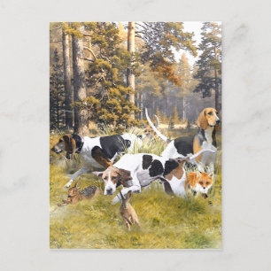 Carte Postale Foxhound