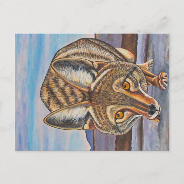 Carte Postale Foxy Coyote (Devant)